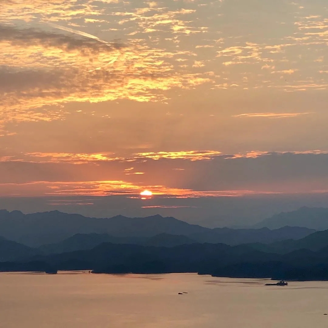 1609824662740878.jpg 640.webp (1).jpg