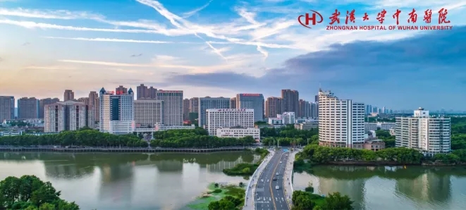 1639461916100586.jpg 2.webp.jpg